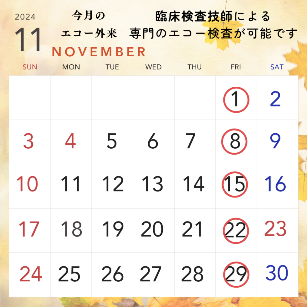 11月のエコー外来カレンダー