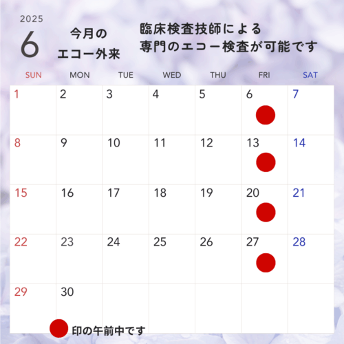6月　エコー外来　カレンダー