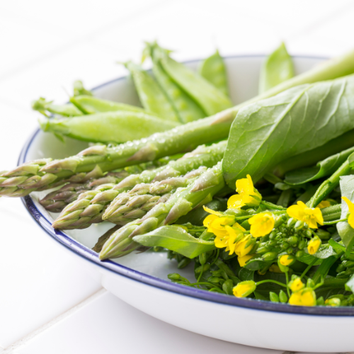 春から始める高脂血症（脂質異常症）改善ガイド