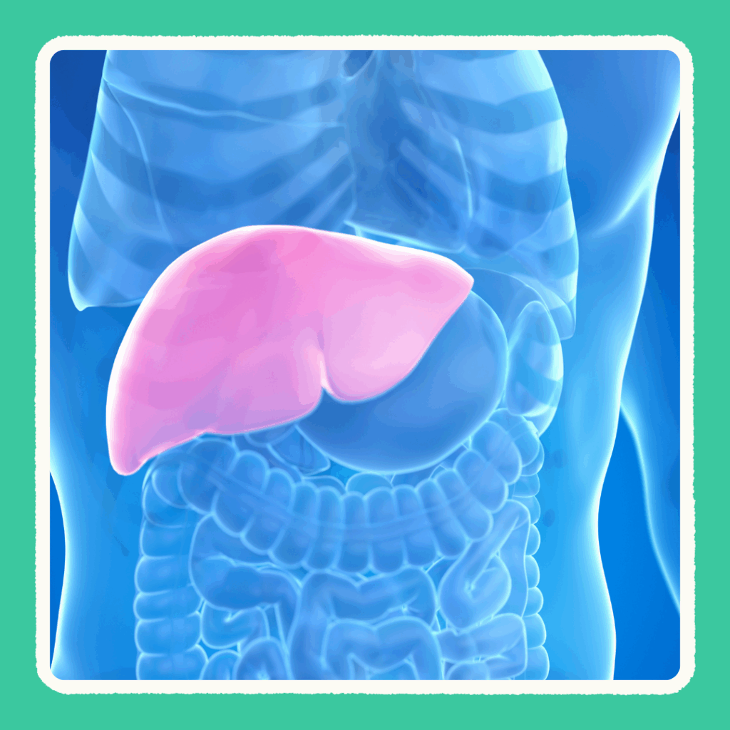 慢性腎臓病（CKD）とは？